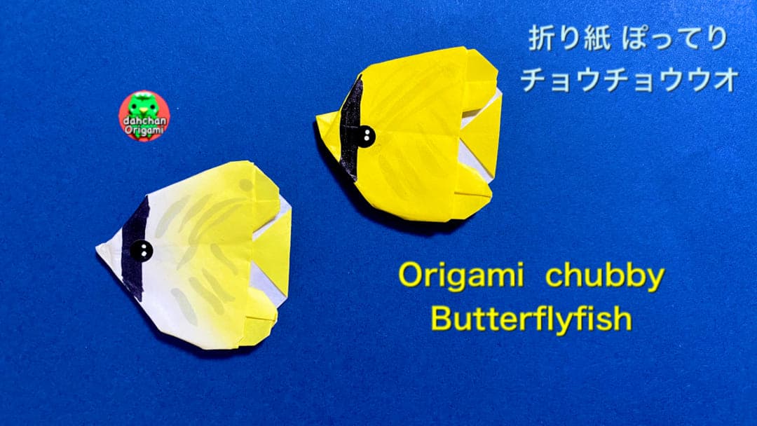 ぽってり チョウチョウウオ