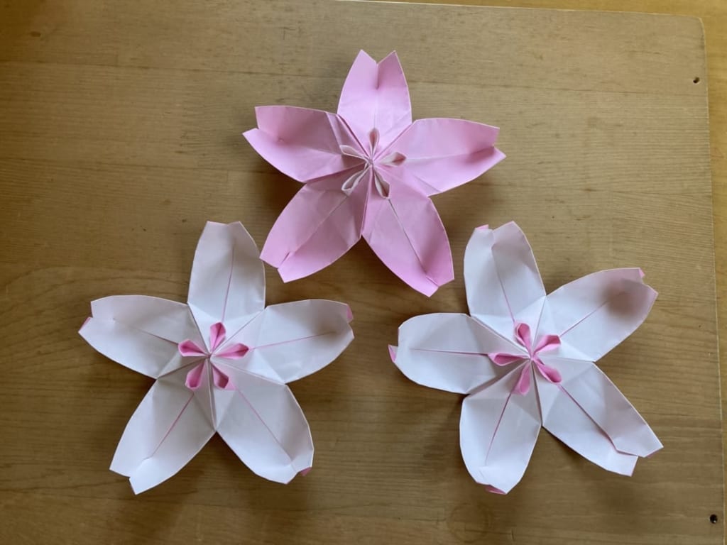 Teru Kutsunaさんによる桜 Origami Sakura Cherry Blossomの折り紙