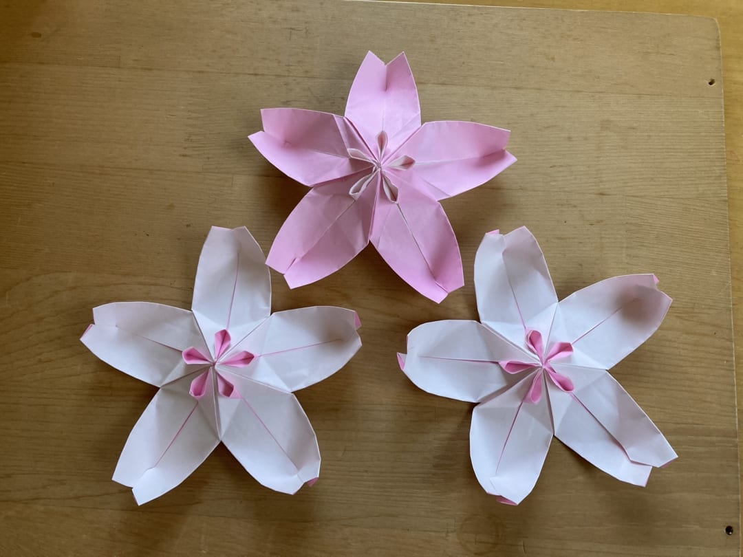 桜 Origami Sakura Cherry Blossom