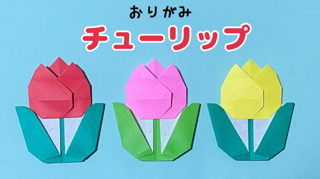 チューリップ