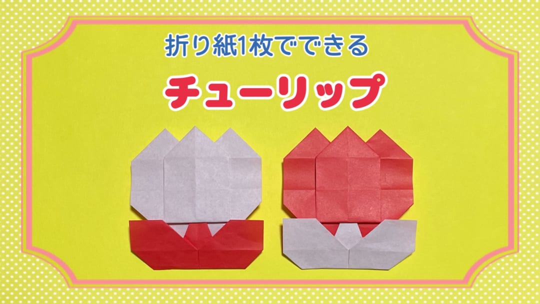 チューリップ